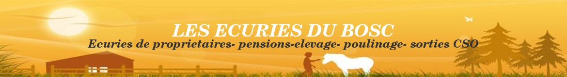 LES ECURIES DU BOSC